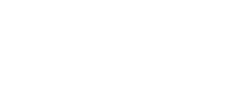 Duel casino logo